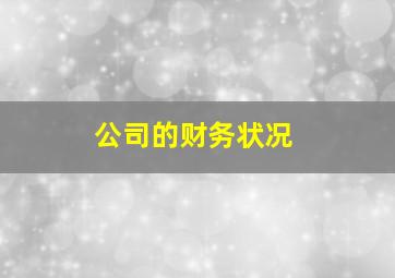 公司的财务状况