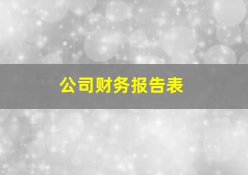 公司财务报告表