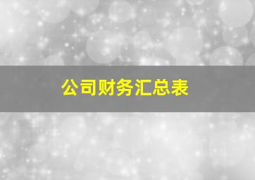 公司财务汇总表