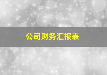 公司财务汇报表