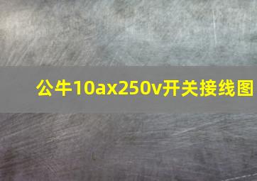 公牛10ax250v开关接线图