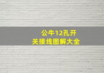 公牛12孔开关接线图解大全