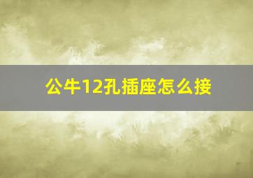 公牛12孔插座怎么接