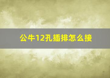 公牛12孔插排怎么接