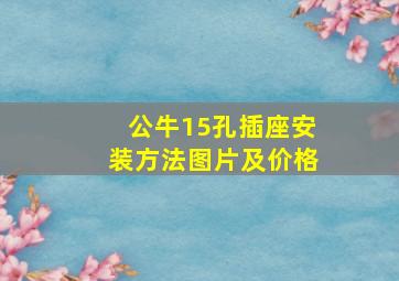 公牛15孔插座安装方法图片及价格