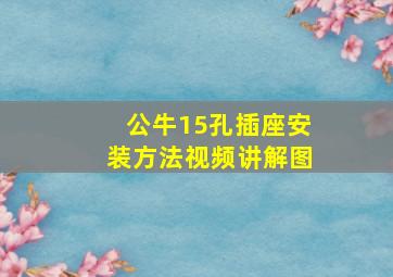 公牛15孔插座安装方法视频讲解图