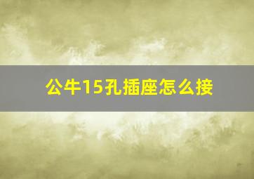 公牛15孔插座怎么接