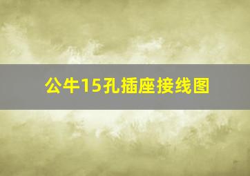 公牛15孔插座接线图