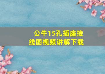 公牛15孔插座接线图视频讲解下载