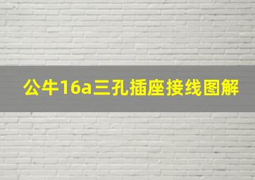 公牛16a三孔插座接线图解