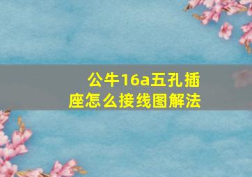 公牛16a五孔插座怎么接线图解法