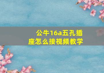 公牛16a五孔插座怎么接视频教学