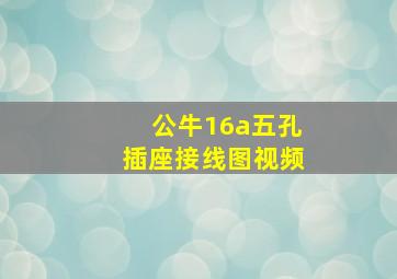 公牛16a五孔插座接线图视频