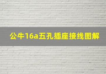 公牛16a五孔插座接线图解