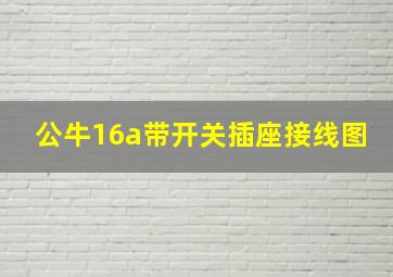 公牛16a带开关插座接线图