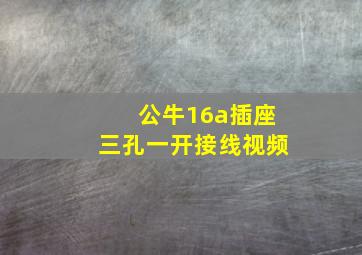 公牛16a插座三孔一开接线视频