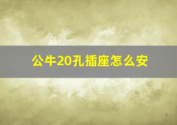 公牛20孔插座怎么安