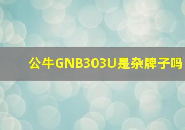 公牛GNB303U是杂牌子吗