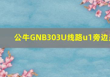 公牛GNB303U线路u1旁边是