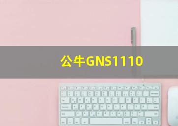 公牛GNS1110