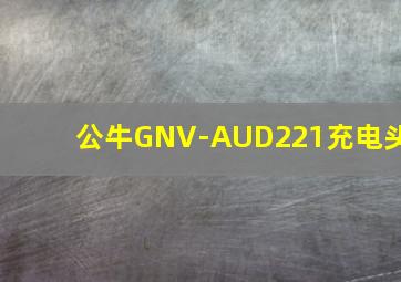 公牛GNV-AUD221充电头