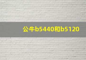 公牛b5440和b5120