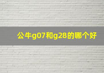 公牛g07和g28的哪个好