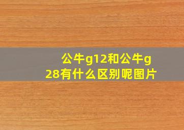 公牛g12和公牛g28有什么区别呢图片