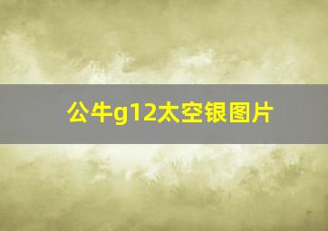 公牛g12太空银图片