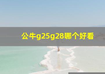 公牛g25g28哪个好看