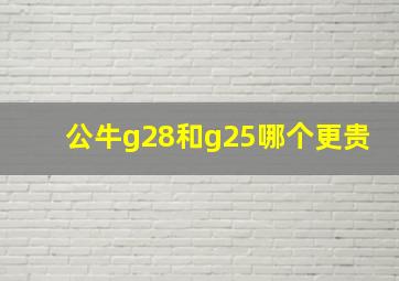 公牛g28和g25哪个更贵