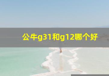 公牛g31和g12哪个好