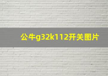 公牛g32k112开关图片