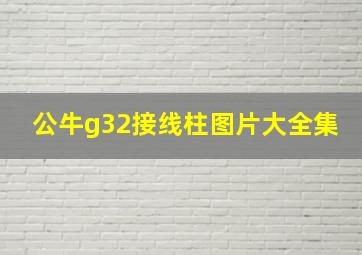 公牛g32接线柱图片大全集