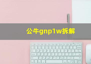 公牛gnp1w拆解