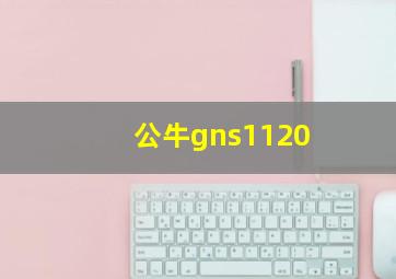 公牛gns1120