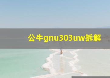 公牛gnu303uw拆解