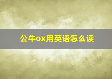 公牛ox用英语怎么读