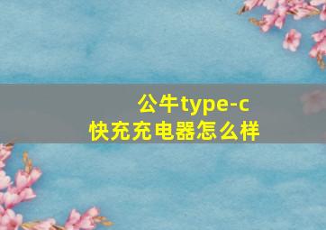 公牛type-c快充充电器怎么样