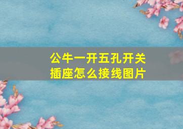 公牛一开五孔开关插座怎么接线图片