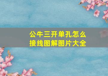 公牛三开单孔怎么接线图解图片大全