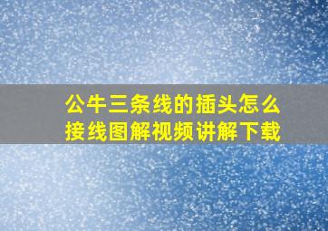 公牛三条线的插头怎么接线图解视频讲解下载