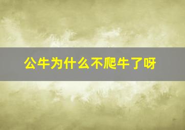 公牛为什么不爬牛了呀