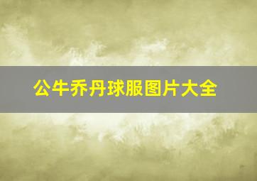 公牛乔丹球服图片大全