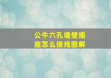 公牛六孔墙壁插座怎么接线图解