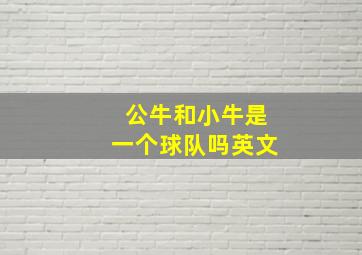 公牛和小牛是一个球队吗英文