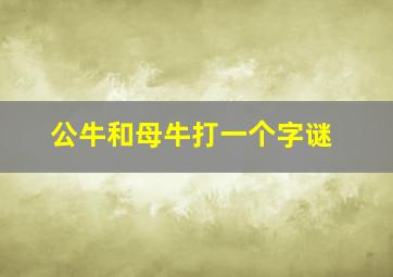 公牛和母牛打一个字谜