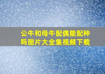 公牛和母牛配偶能配种吗图片大全集视频下载