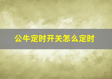 公牛定时开关怎么定时