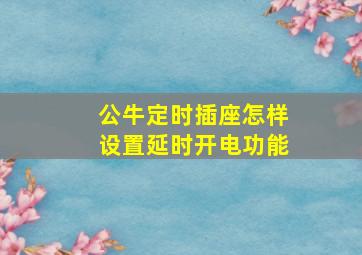 公牛定时插座怎样设置延时开电功能